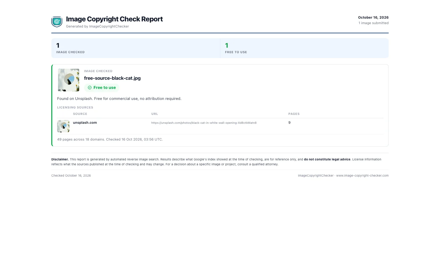 Downloaded PDF copyright report with the verdict and each matched source listed